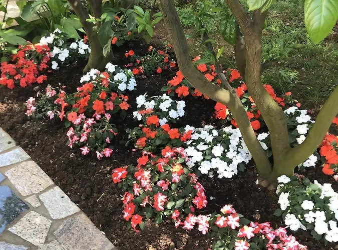 Apartman House Maric